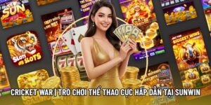 Cricket War | Trò Chơi Thể Thao Cực Hấp Dẫn Tại Sunwin